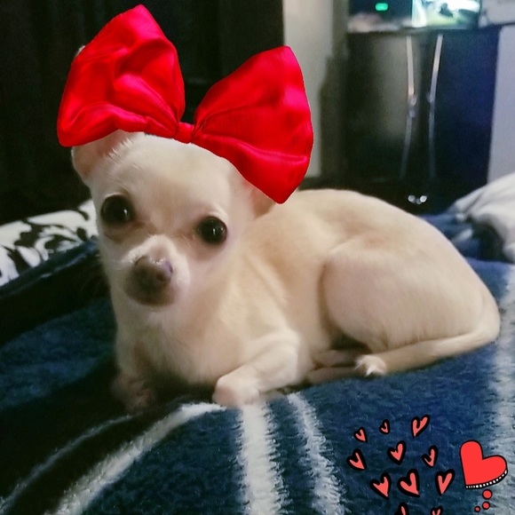 ๐ค๐ฎ๐ธ๐ฆโ ๐ค๐ฎ๐ธ๐ฆโ ๐ค - Picture 10 of 16